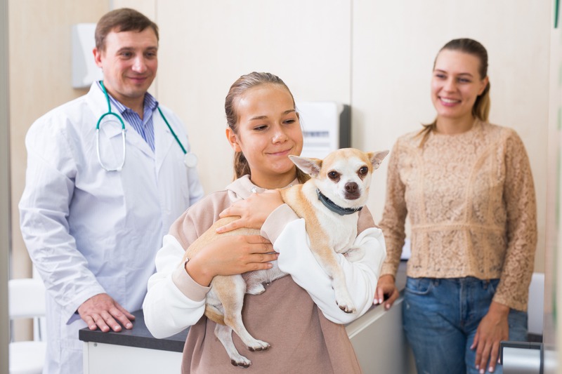 How Can Internal Medicine Save Your Pet in Emergencies?