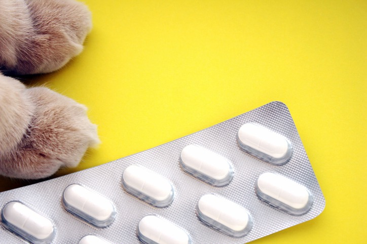 How Can a Pet Pharmacy Help You Manage Your Pet’s Medication Needs?
