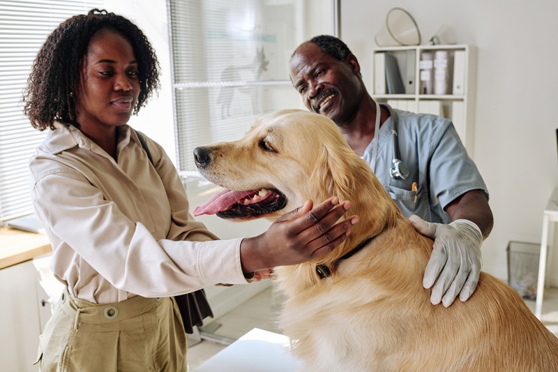 What Are Core vs. Non-Core Vaccines for Pets?