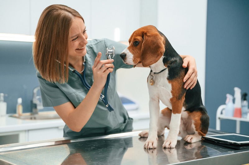 Why Should Internal Med Vets and Surgeons Collaborate?
