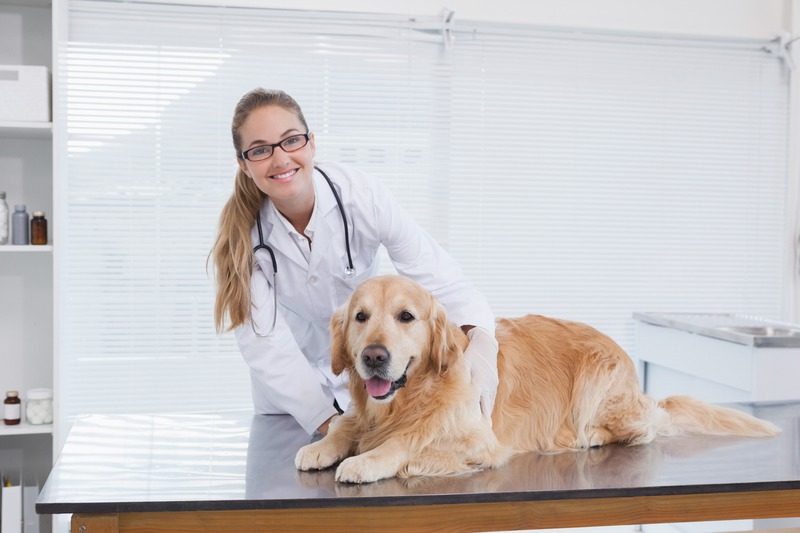 Are Vaccine Reactions Common in Diagnostic Tests?