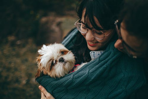 What Should You Include in Your Pet’s Daily Care Ritual?