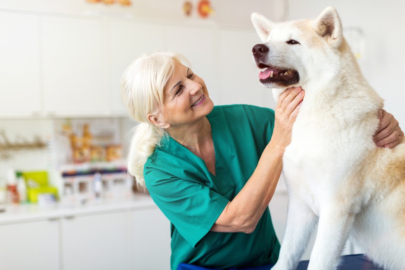 How Can I Tell if My Senior Pet Needs Specialized Geriatric Care?