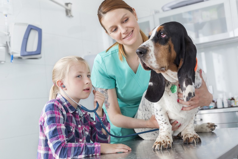 Can Routine Exams Detect Early Pet Health Issues?
