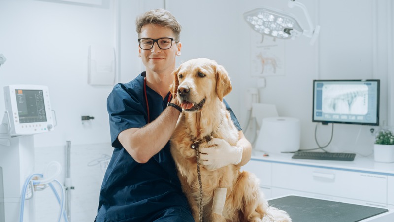 What Are Core Veterinary Services for Pets?