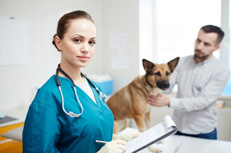 Who Benefits from Vet Lab Services in Dentistry?