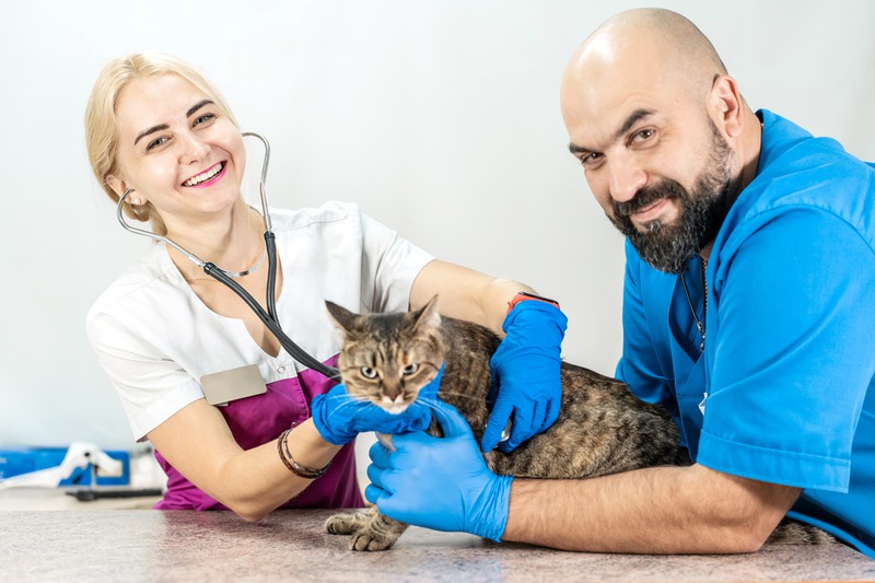 When Should Your Exotic Pet Visit an Internal Medicine and Surgical Specialist?